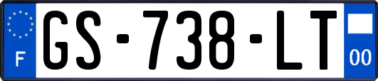 GS-738-LT