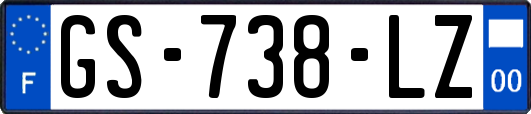 GS-738-LZ