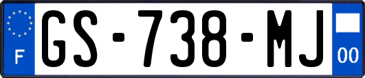 GS-738-MJ