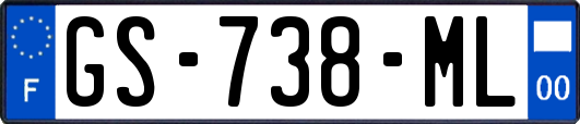 GS-738-ML