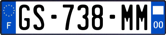 GS-738-MM