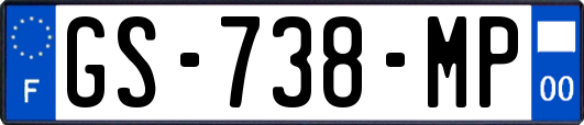 GS-738-MP