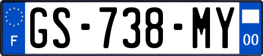 GS-738-MY