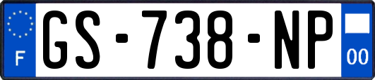 GS-738-NP