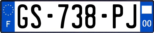 GS-738-PJ