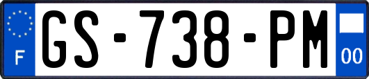 GS-738-PM