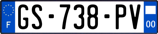 GS-738-PV