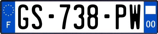 GS-738-PW