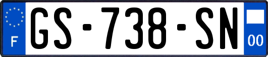 GS-738-SN
