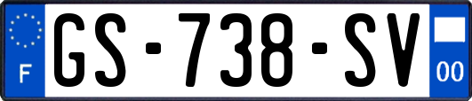 GS-738-SV