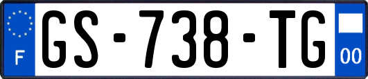 GS-738-TG
