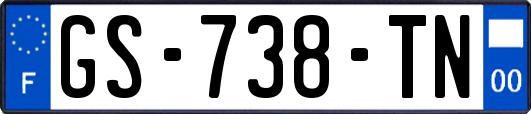 GS-738-TN