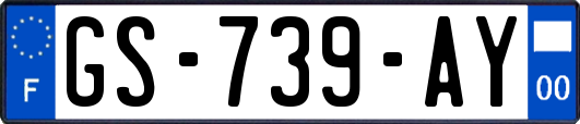 GS-739-AY