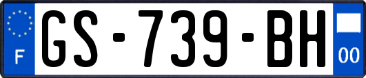 GS-739-BH