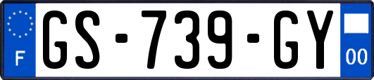 GS-739-GY