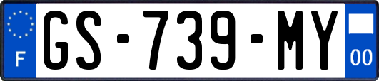 GS-739-MY