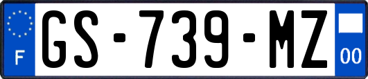 GS-739-MZ