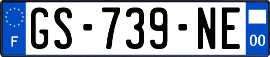 GS-739-NE