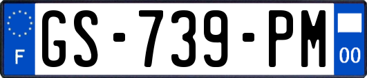 GS-739-PM