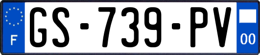 GS-739-PV