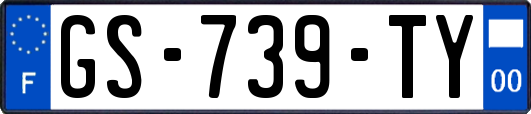GS-739-TY