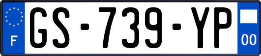 GS-739-YP