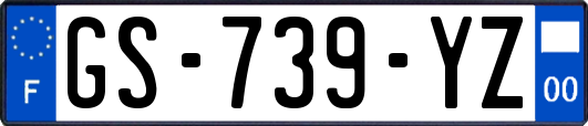 GS-739-YZ