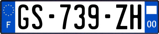 GS-739-ZH