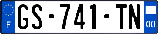 GS-741-TN