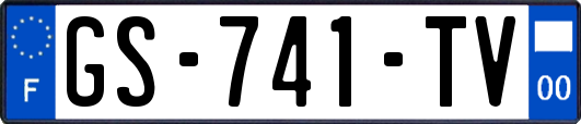 GS-741-TV