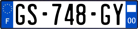 GS-748-GY