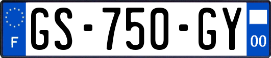 GS-750-GY