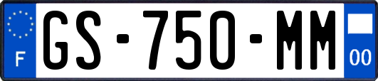 GS-750-MM