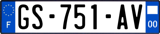 GS-751-AV