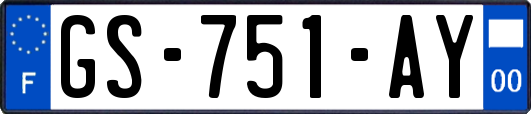 GS-751-AY