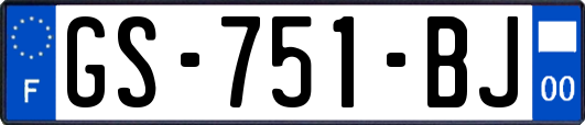 GS-751-BJ