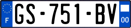 GS-751-BV