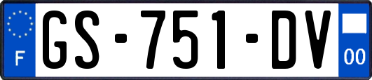 GS-751-DV