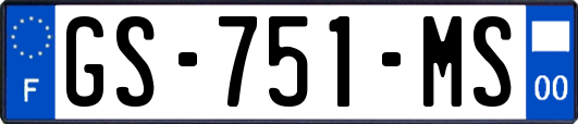 GS-751-MS