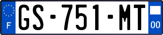 GS-751-MT
