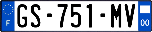 GS-751-MV