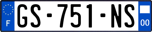 GS-751-NS