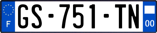 GS-751-TN