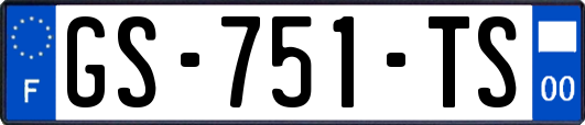 GS-751-TS