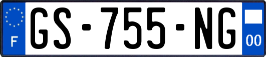 GS-755-NG