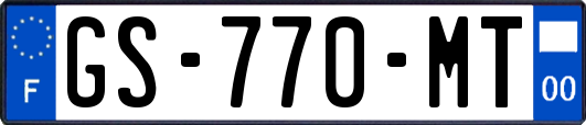 GS-770-MT