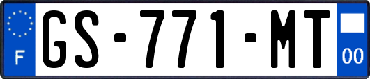 GS-771-MT
