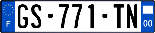 GS-771-TN