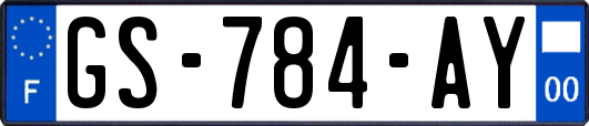 GS-784-AY