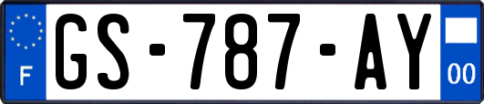 GS-787-AY